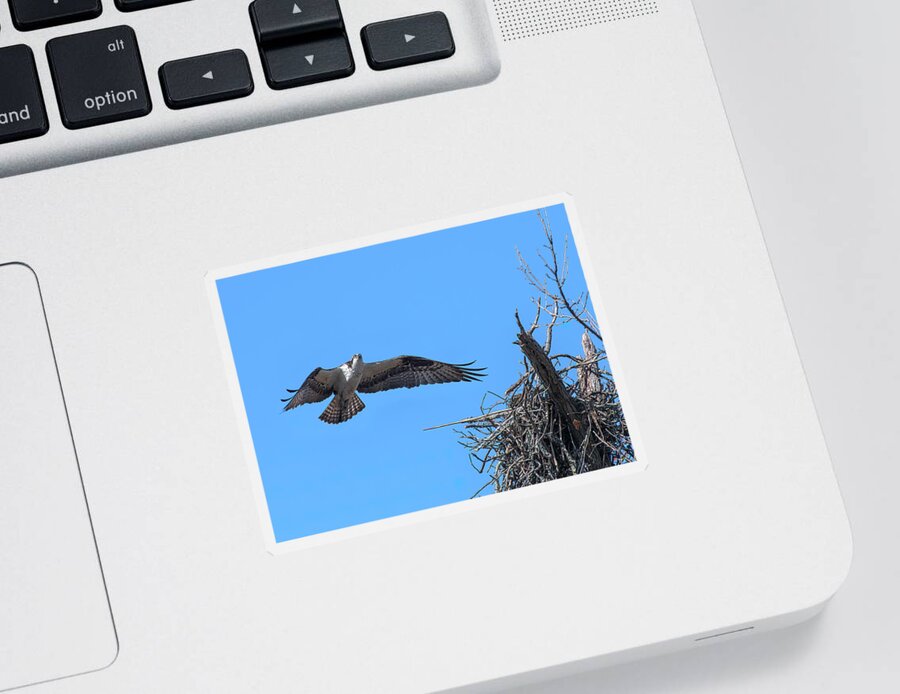 Nature Sticker featuring the photograph Osprey Approaching Nest DRB0281 by Gerry Gantt