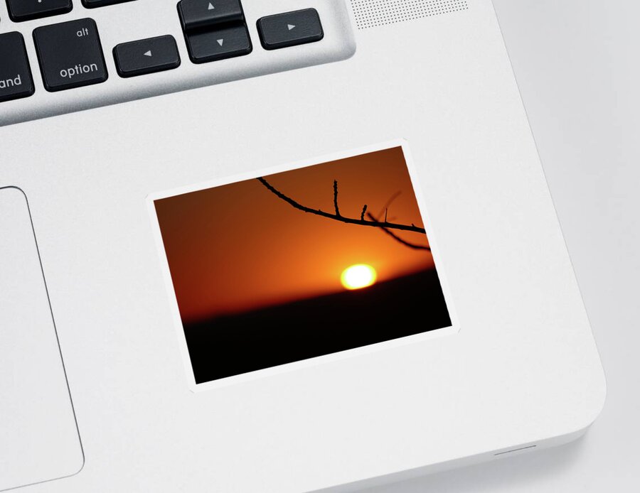 Sunset Sticker featuring the photograph Outback Sunset 1 by Maryse Jansen