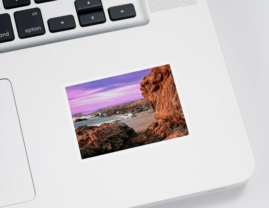 Photo Sticker featuring the photograph Pacific Coast by Anthony M Davis