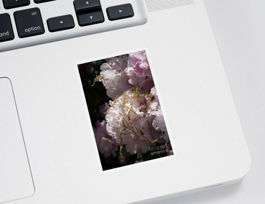Rhododendron Sticker featuring the photograph Pale pink rhododendron flowers 2 by Adriana Mueller