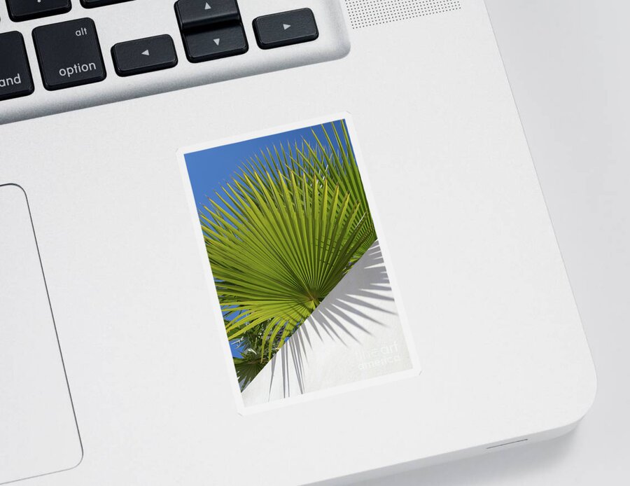 Palm Leaf Sticker featuring the photograph Green palm leaves, blue sky and white wall of a modern finca 2 by Adriana Mueller