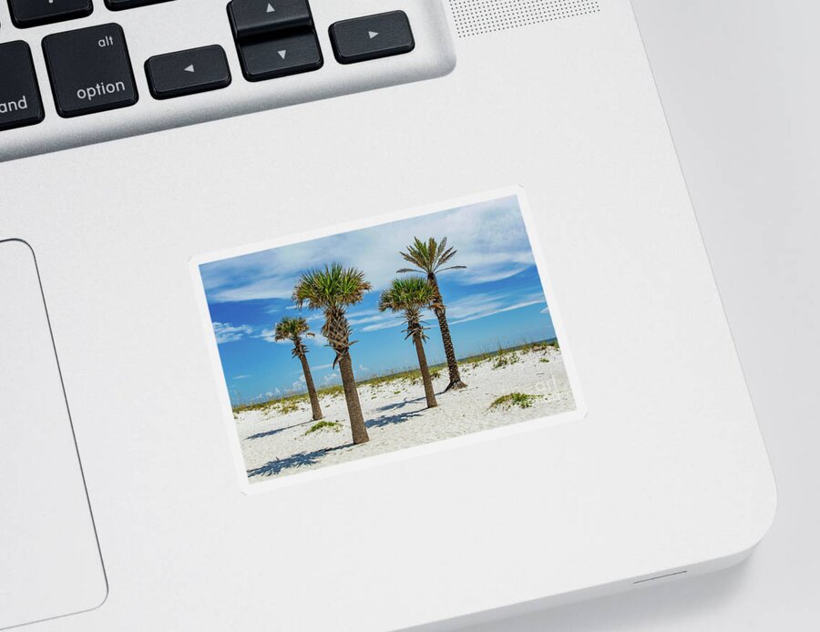 Island Sticker featuring the photograph Palm Trees on the Beach by Beachtown Views