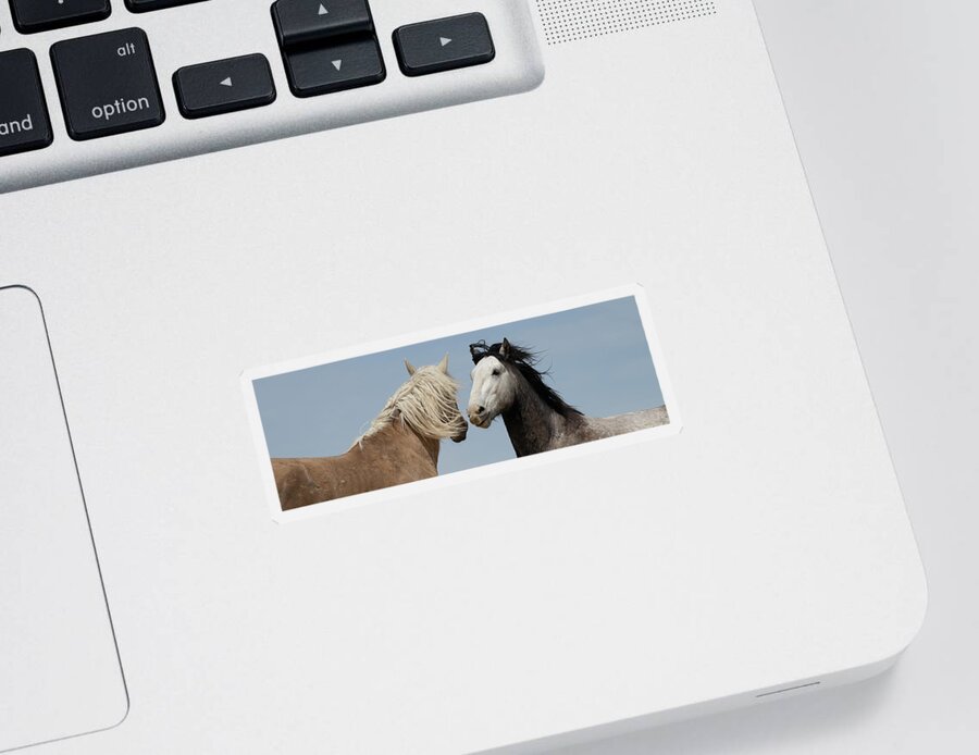 Panorama Sticker featuring the photograph Palomino and a Gray by Mary Hone