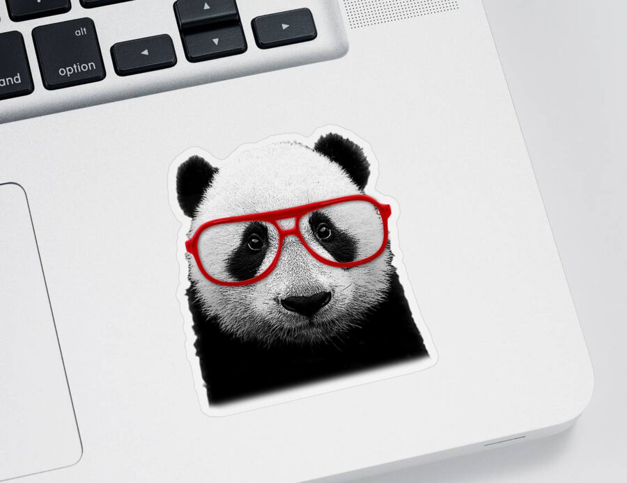 https://render.fineartamerica.com/images/rendered/default/surface/sticker/images/artworkimages/medium/3/panda-bear-with-red-glasses-madame-memento-transparent.png?&targetx=0&targety=-215&imagewidth=1000&imageheight=1250&modelwidth=1000&modelheight=1000&backgroundcolor=ffffff&stickerbackgroundcolor=transparent&orientation=0&producttype=sticker-3-3&v=8