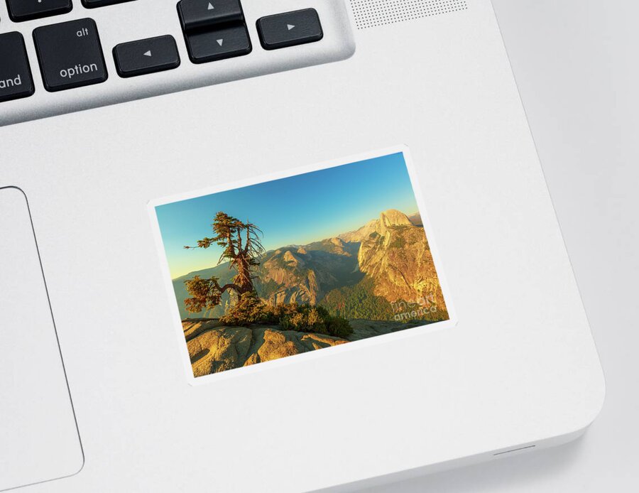 Yosemite Sticker featuring the photograph panorama tree at Glacier Point by Benny Marty