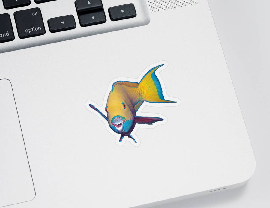 Heavybeak Parrotfish Sticker featuring the mixed media Parrotfish - Eye catching make up on white background - by Ute Niemann