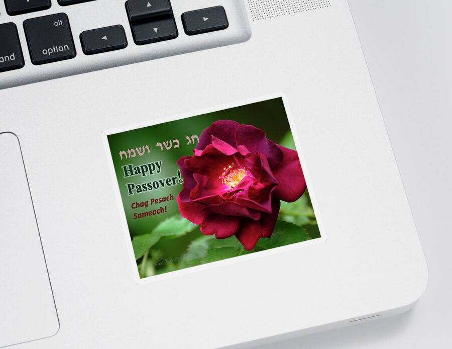 Inspirational Sticker featuring the photograph Passover Rose by Brian Tada