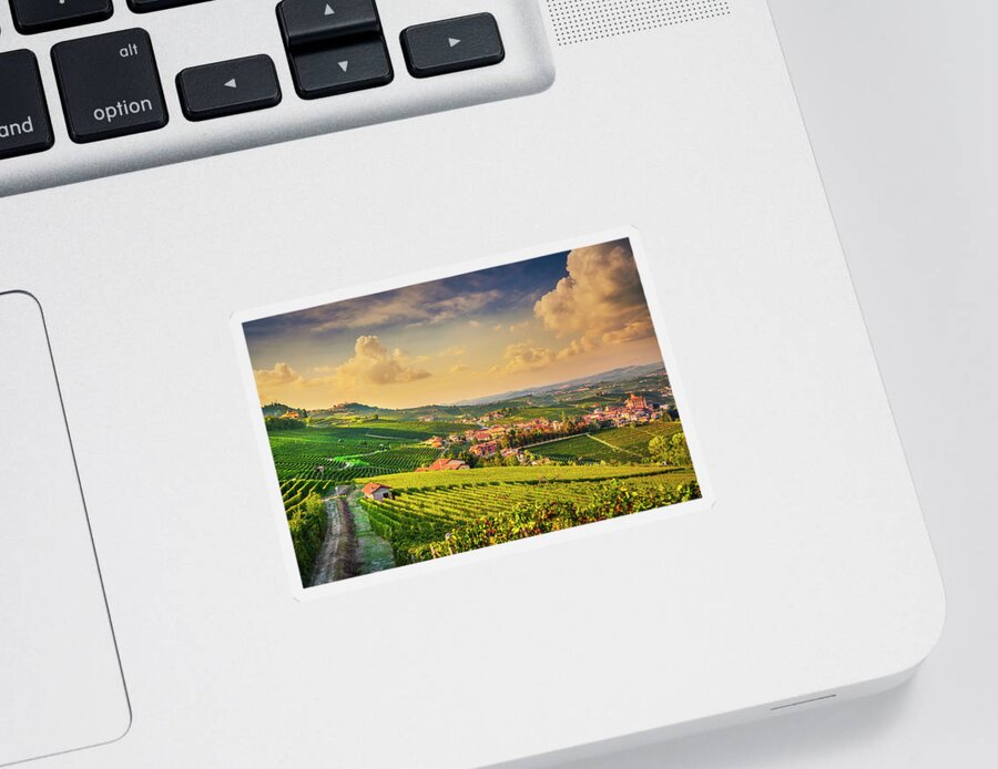 Vineyards Sticker featuring the photograph Path between the vineyards. Langhe region, Barolo by Stefano Orazzini