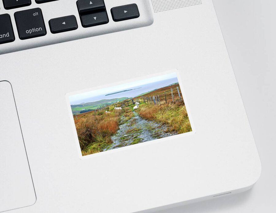 Sheep Sticker featuring the photograph Path to Malin Beg in Autumn by Lexa Harpell