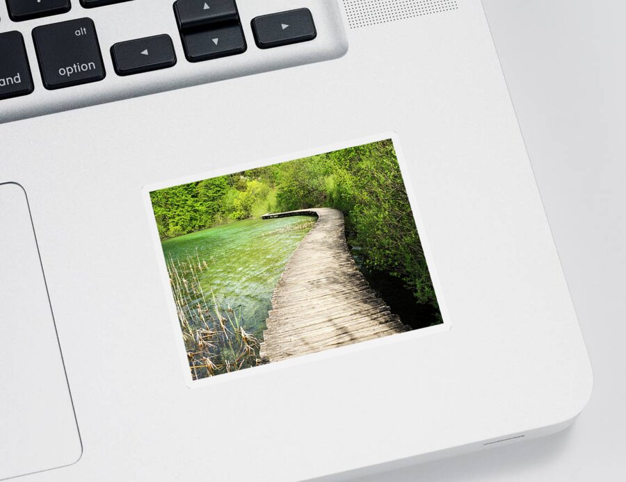 Attraction Sticker featuring the photograph Pathway to Waterfalls 1 by Eggers Photography
