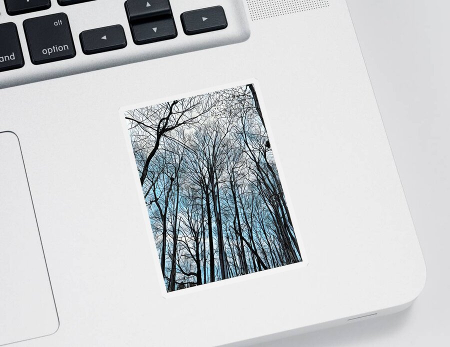 Trees Sticker featuring the photograph Pattys Path Tree Cover by Tim Nyberg