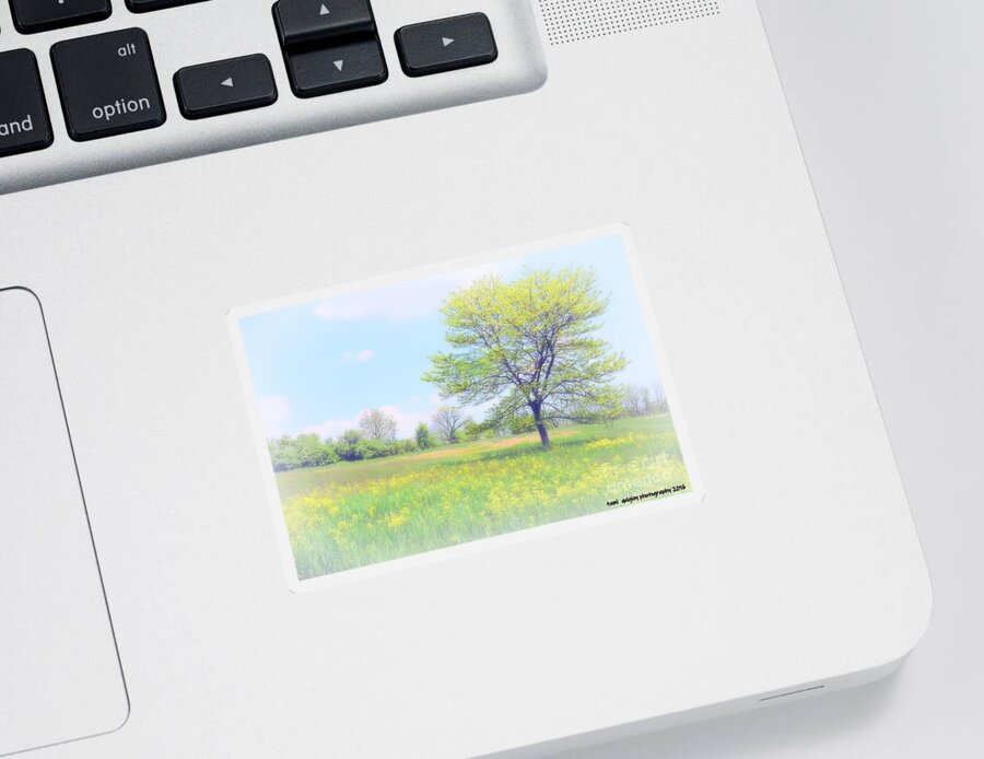 Nature Sticker featuring the photograph Peace On The Hillside by Tami Quigley