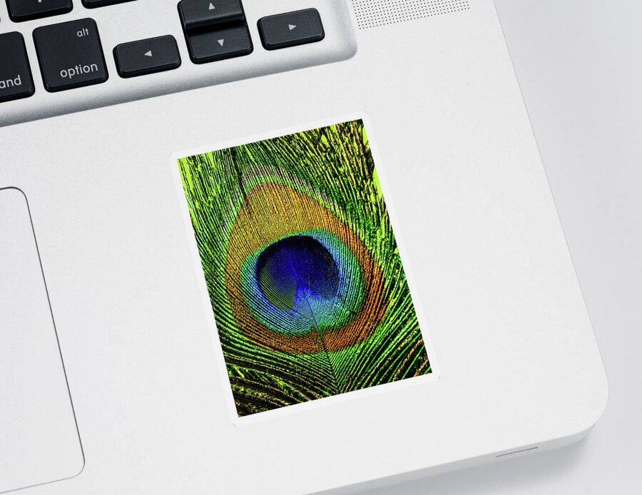Peacock Sticker featuring the photograph Peacock Feather Eye in Close-up by Charles Floyd