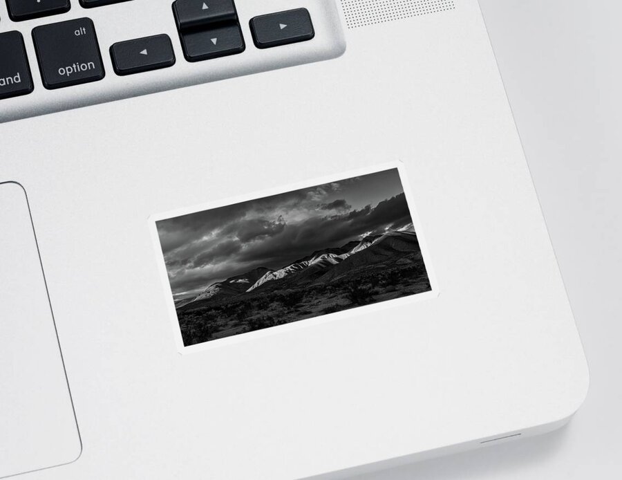 Black & White Sticker featuring the photograph Peaking Through by Peter Tellone