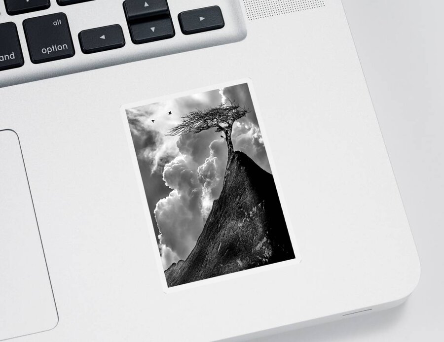 Fine Art Sticker featuring the photograph Peaks and valleys by Sofie Conte