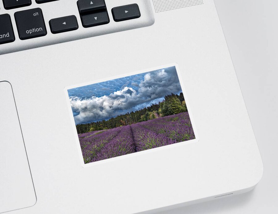 Clound Sticker featuring the photograph Pelindaba Fields by Thomas Ashcraft