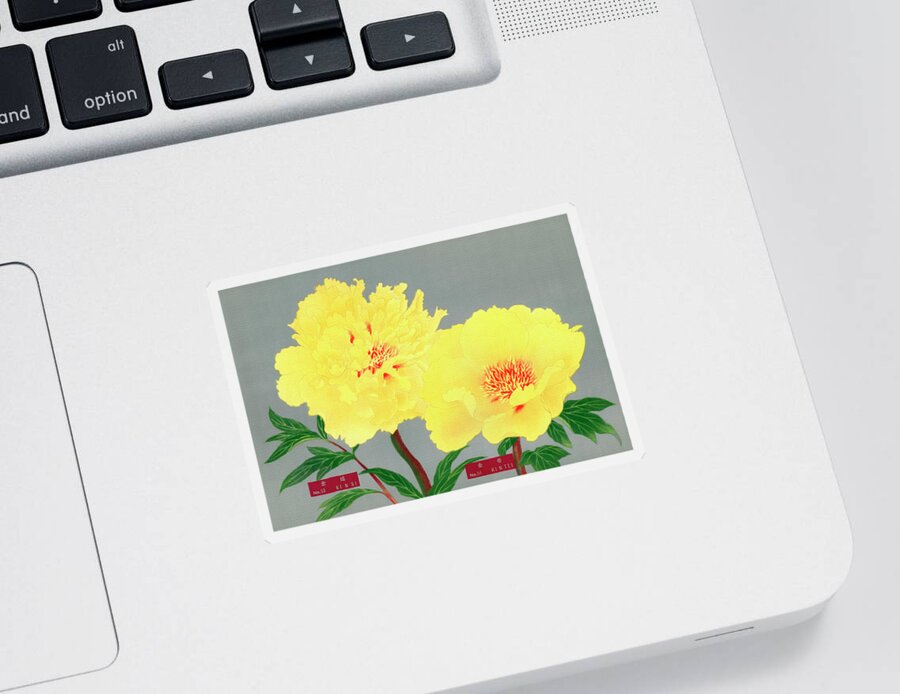 1939 Sticker featuring the painting Peony blossom, yellow flower, vintage print from The Picture Boo by Tony Rubino