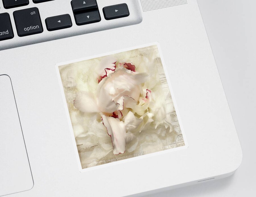 Flower Sticker featuring the photograph Peony - French Papers by Karen Lynch
