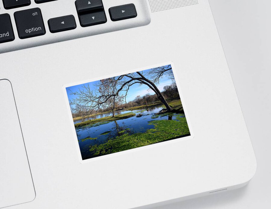 Springs Sticker featuring the photograph Perfect Day by Cheri Freeman