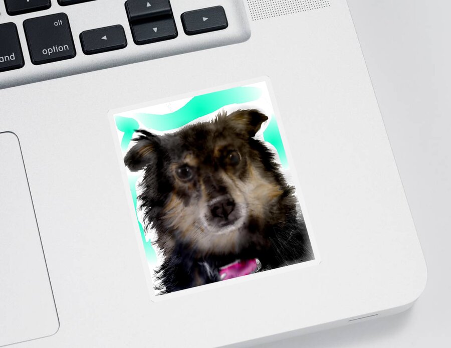 Dachshund Aussie Mix Pixie Cute Small Dog Sticker featuring the mixed media Perfect Pixie by Pamela Calhoun