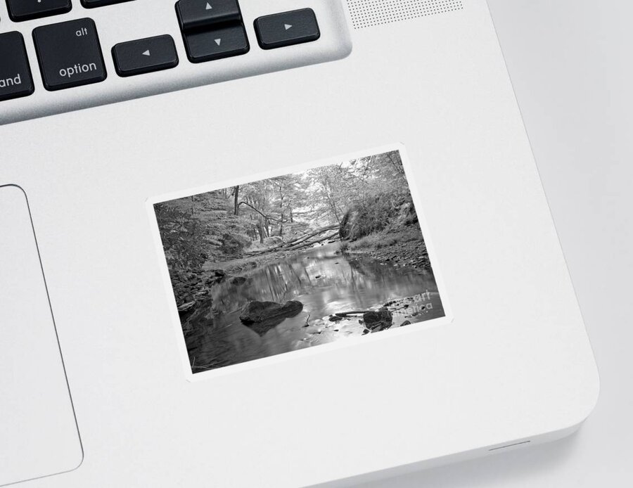Toms Sticker featuring the photograph Perfect Reflections In Toms Run Black And White by Adam Jewell