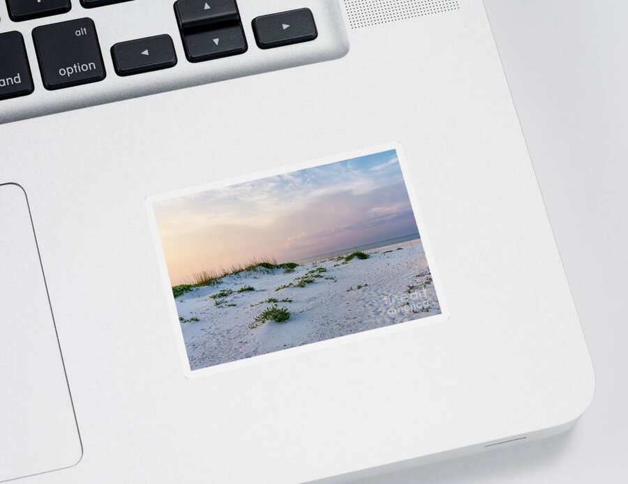 Fl Sticker featuring the photograph Perfect Start To The Day by Jennifer White