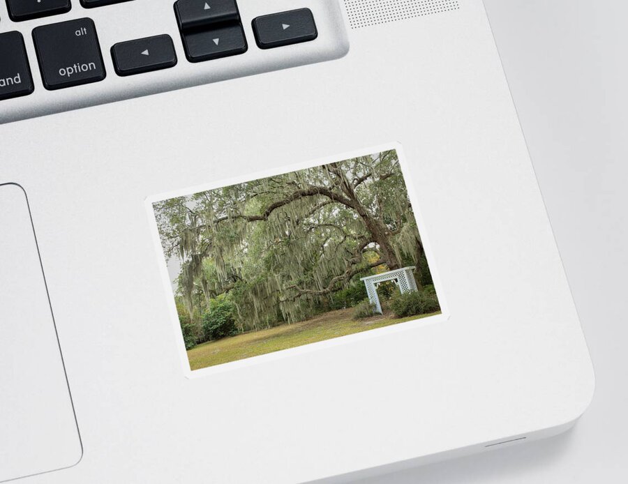 Charleston Sticker featuring the photograph Picture Perfect by Cindy Robinson