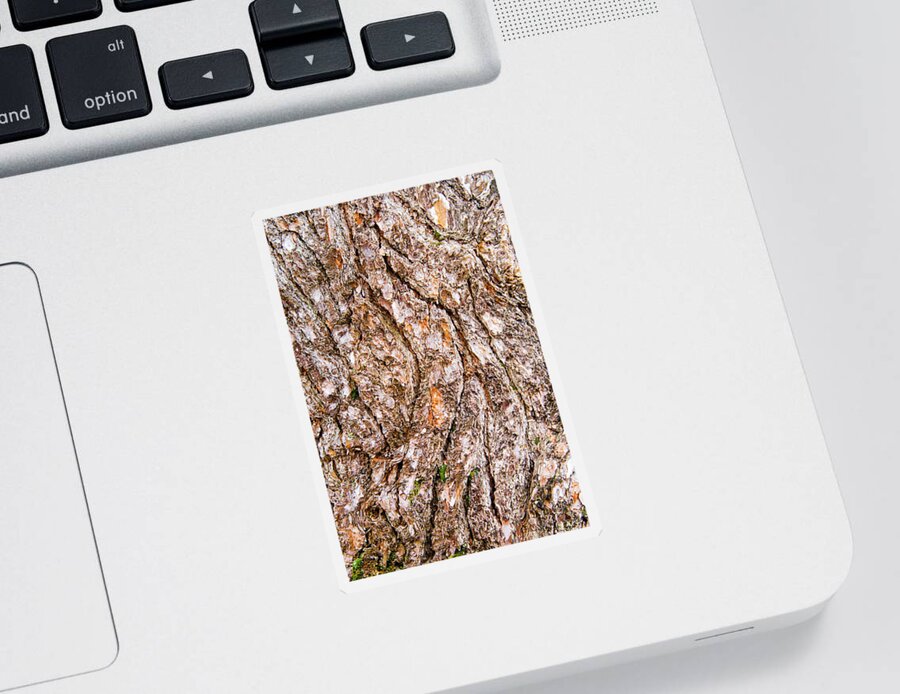 Pine Bark Sticker featuring the photograph Pine Bark Abstract by Christina Rollo