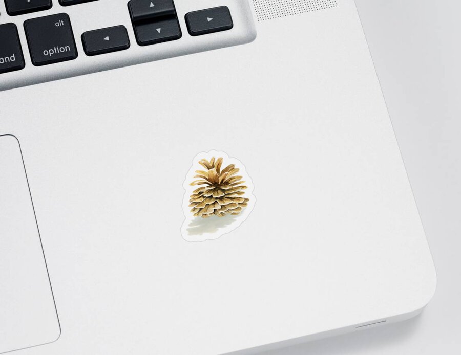 Pine Cone Sticker featuring the painting Pine Cone by Melly Terpening