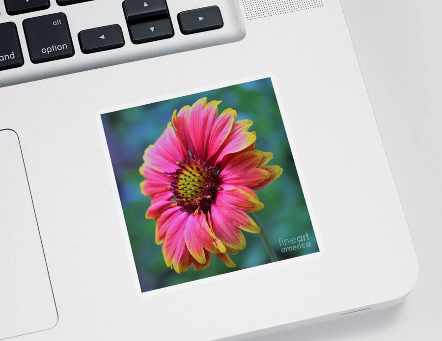 Flower Sticker featuring the photograph Pink and yellow petals surrounded in blues and greens by Joanne Carey