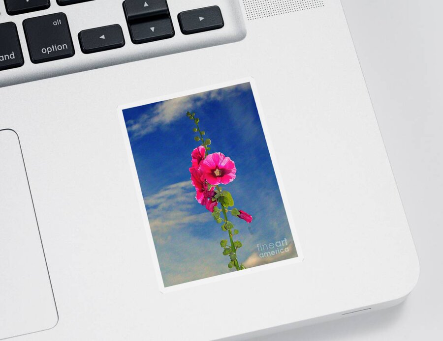Hollyhock Sticker featuring the photograph Pink Hollyhock Against Stark Blue Sky by Kimberly Furey