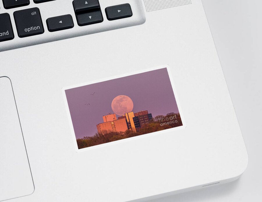 University Sticker featuring the photograph 'Pink' Supermoon Over Stony Brook by Sean Mills