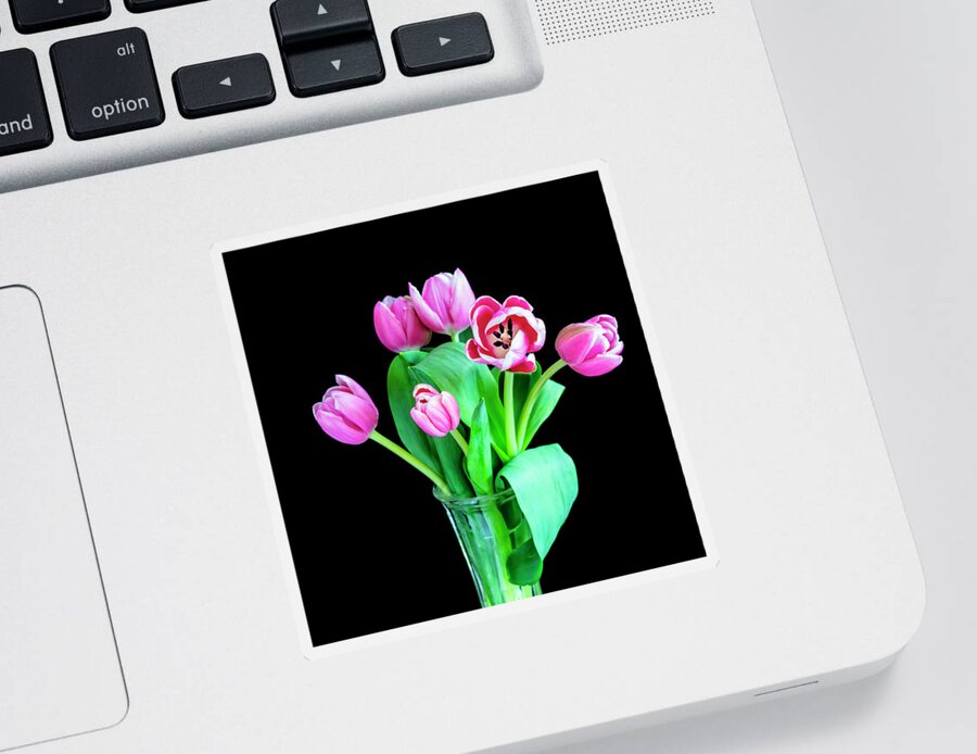 Tulips Sticker featuring the photograph Pink Tulips Pink Impression X100 by Rich Franco