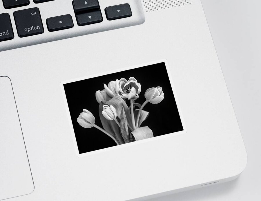 Tulips Sticker featuring the photograph Pink Tulips Pink Impression X103 by Rich Franco