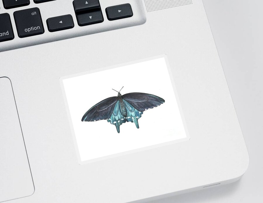 Butterfly Butterflies Florida American Pipevine Swallowtail Blue Navy Transformation Watercolor Sticker featuring the painting Pipevine Swallowtail Butterfly by Pamela Schwartz