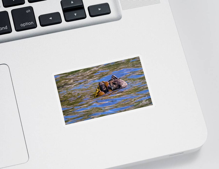 Otter Sticker featuring the photograph Playful little otter by Lyl Dil Creations