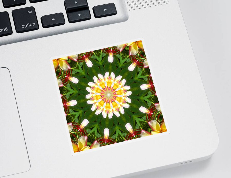 Plumeria Sticker featuring the mixed media Plumeria Mandala Kaleidoscope Medallion Flower by Mercury McCutcheon