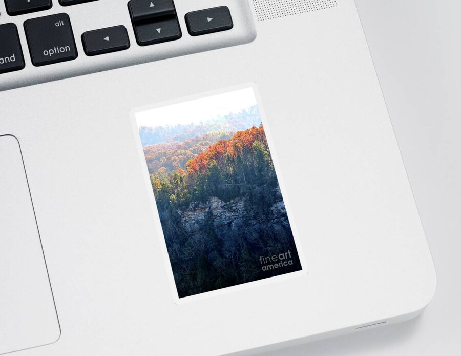 Nature Sticker featuring the photograph Point Trail At Obed 5 by Phil Perkins