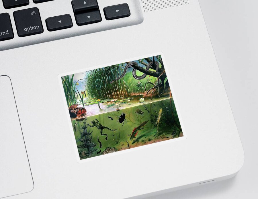 Frog Sticker featuring the digital art Pond Life by Pennie McCracken