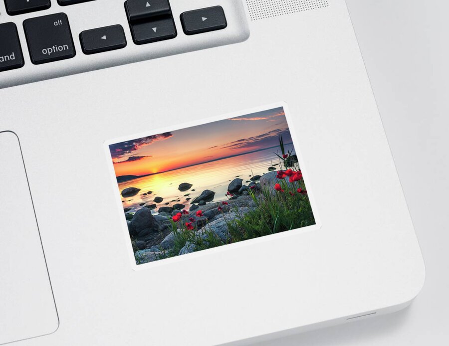 Sea Sticker featuring the photograph Poppies By the Sea by Evgeni Dinev