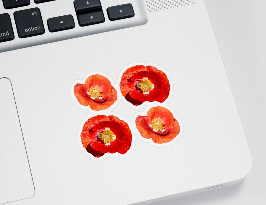 Ornamental Poppy Sticker featuring the photograph Poppy Design 2021-1 by Thomas Young
