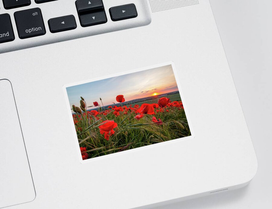 Poppies Sticker featuring the photograph Poppy Field Sunset by Airpower Art