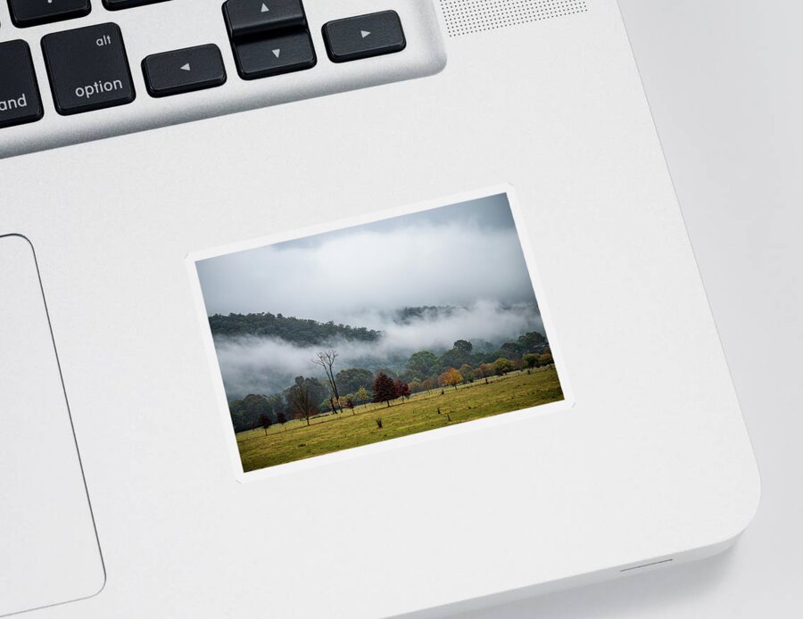 Fog Sticker featuring the photograph Porpunkah Fog by Vicki Walsh