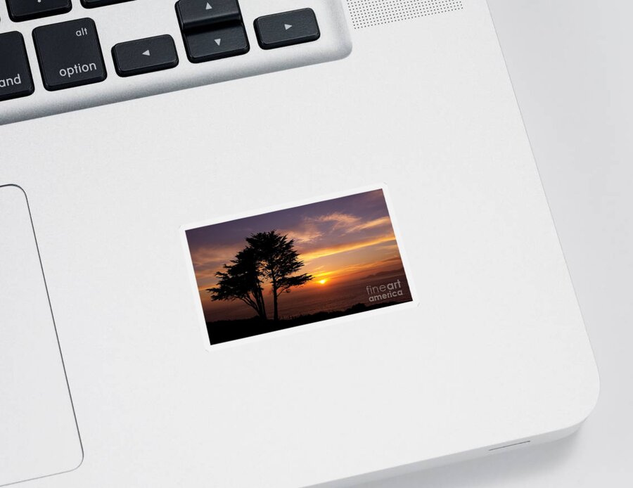 San Francisco Presidio Sticker featuring the photograph Presidio Tree Sunset by Tony Lee