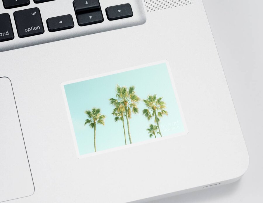 Summer Sticker featuring the photograph Pretty Palms by Ana V Ramirez