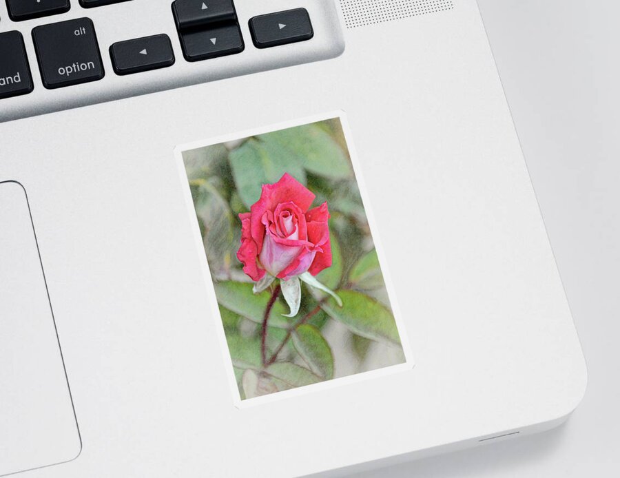 Rose Sticker featuring the digital art Pretty Red Pink Rose from Up Top Portrait by Gaby Ethington