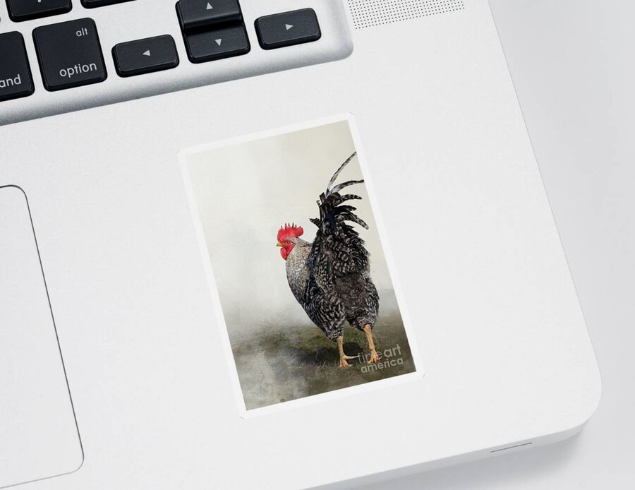 Rooster Sticker featuring the photograph Proud Rooster by Eva Lechner