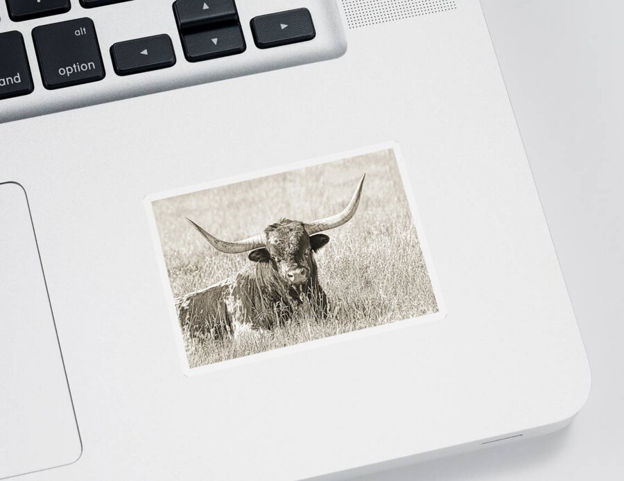 Texas Longhorn Sticker featuring the photograph Proud Texas Longhorn Bull Sepia by Jennie Marie Schell