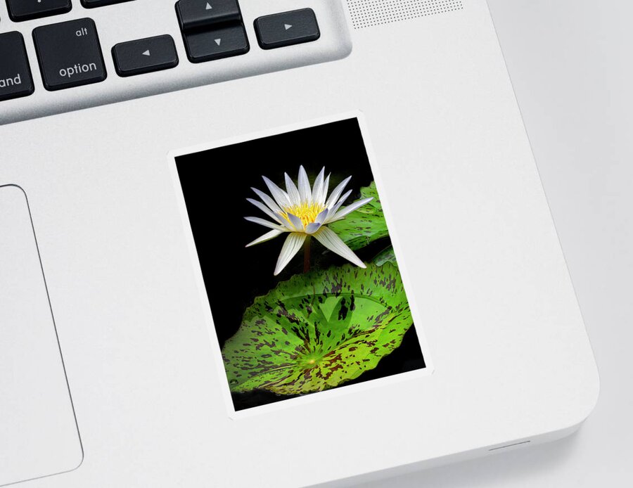 Floral Sticker featuring the photograph Purity. by Usha Peddamatham