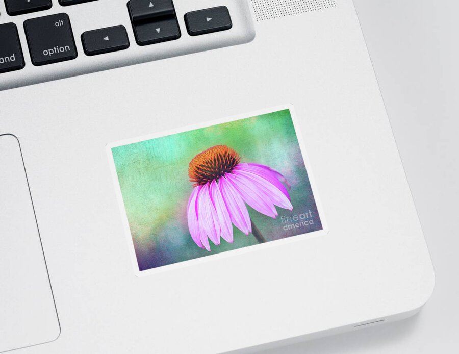 Purple Coneflower Echinacea Sticker featuring the photograph Purple Coneflower with a touch of Grunge by Anita Pollak